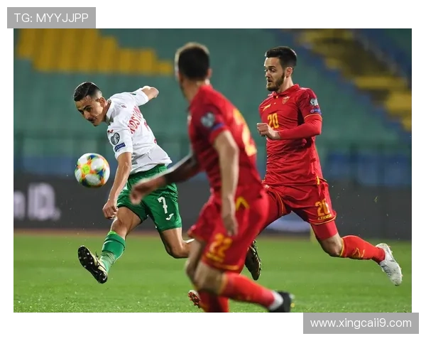 保加利亚与瑞典精彩对决在线直播观看指南 保加利亚与瑞典精彩对决在线直播观看指南